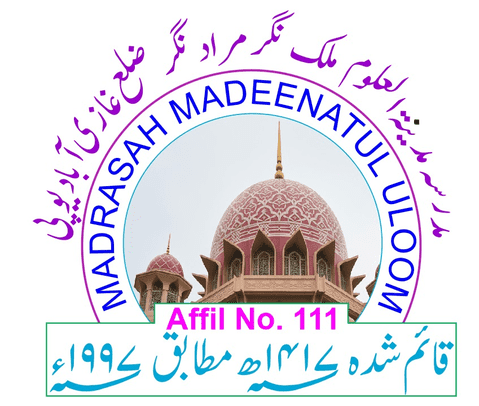 MMU JUNIOR HIGH SCHOOL logo